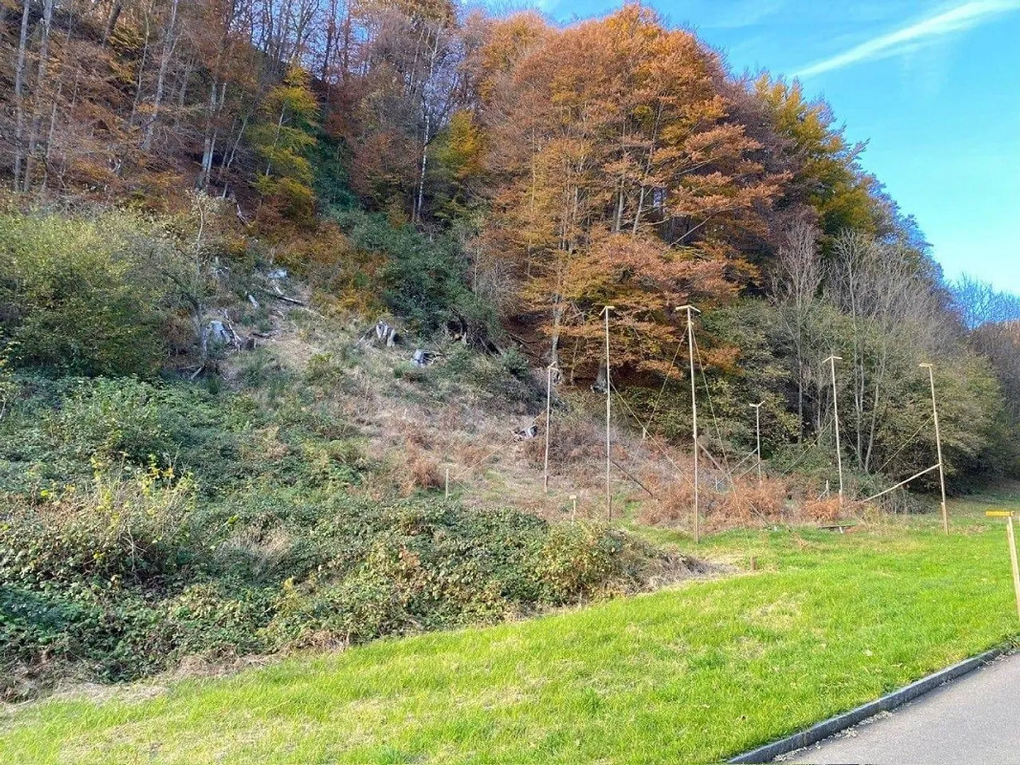 Tree-worthy sunny land with a view in Maglio di Colla - Photo 1 of 2