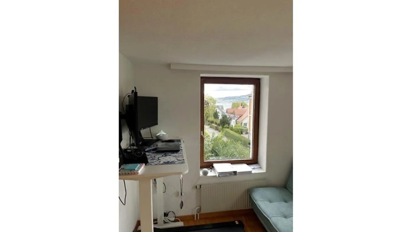 APPARTAMENTO 3½ STANZE A WÄDENSWIL (ZH), ARREDATO, TEMPORANEO - Foto 9 di 10