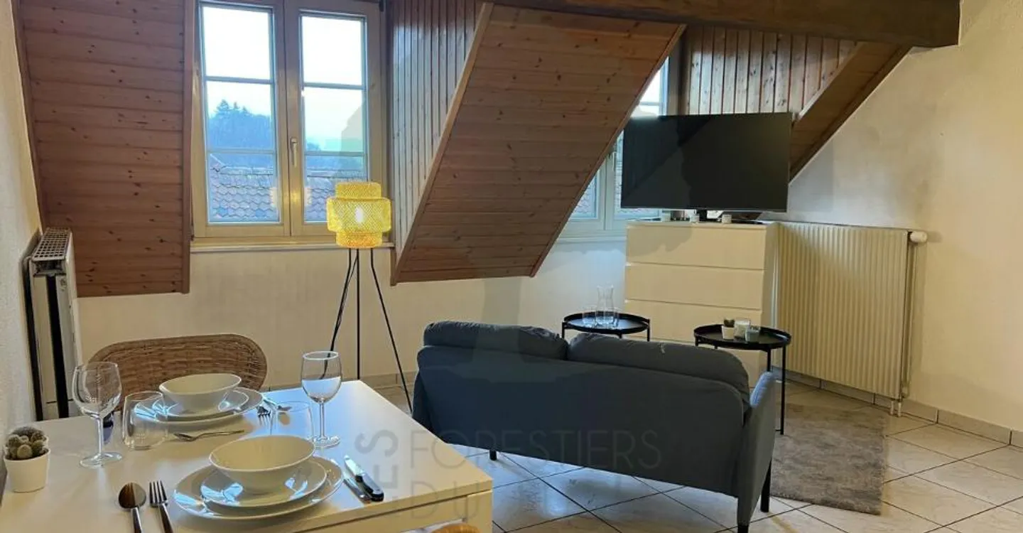 Charming apartment with mezzanine in the old town of Porrentruy - Photo 3 of 9