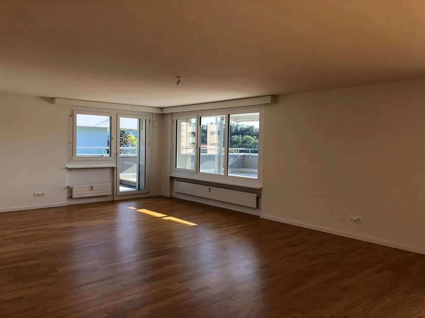 Vivere alle cascate del Reno - Foto 7 di 10