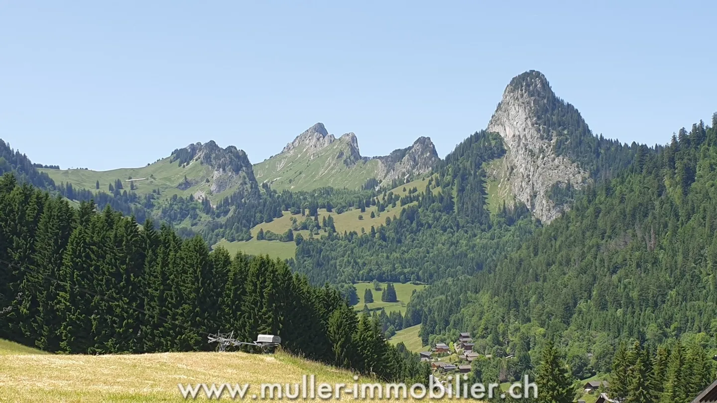 Beautiful 2.5-room apartment in a south-facing location on the 1st floor in Torgon - Photo 11 of 12