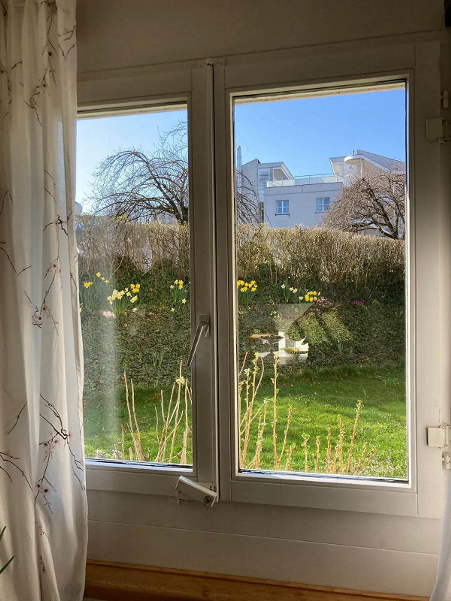 Wonderful large quiet 5.5 room garden apartment for rent! - Photo 1 of 10