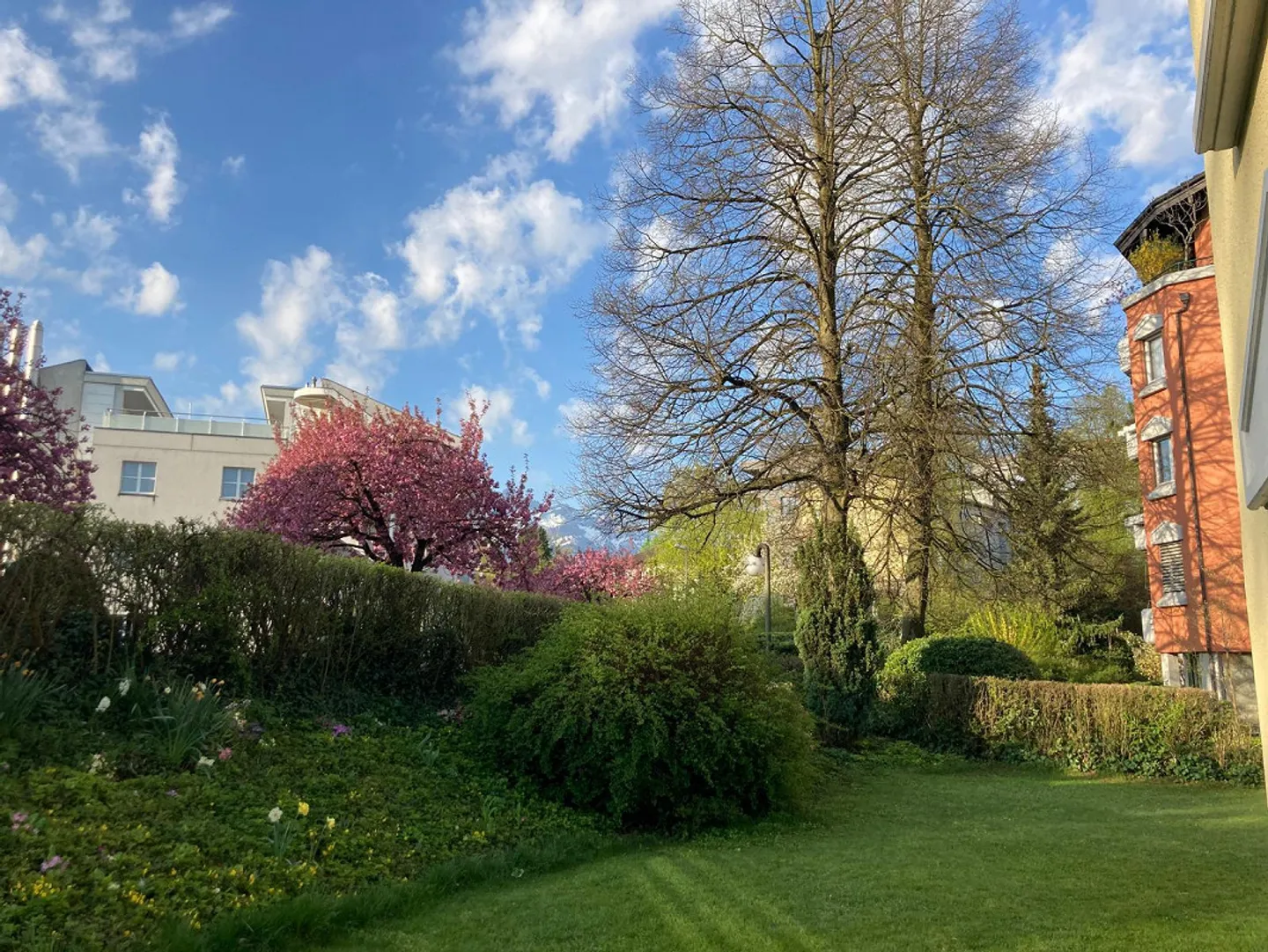 Wonderful large quiet 5.5 room garden apartment for rent! - Photo 2 of 10