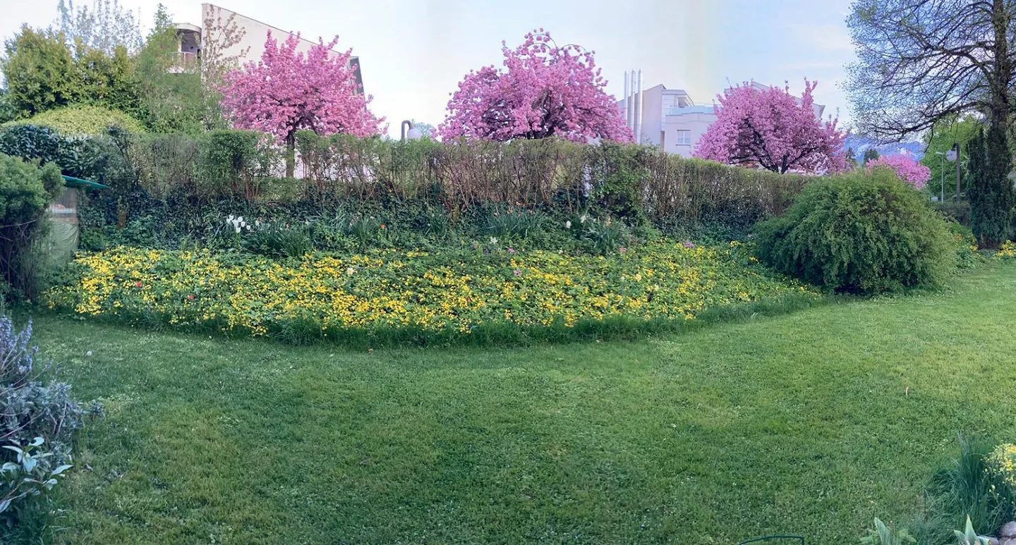 Wonderful large quiet 5.5 room garden apartment for rent! - Photo 3 of 10