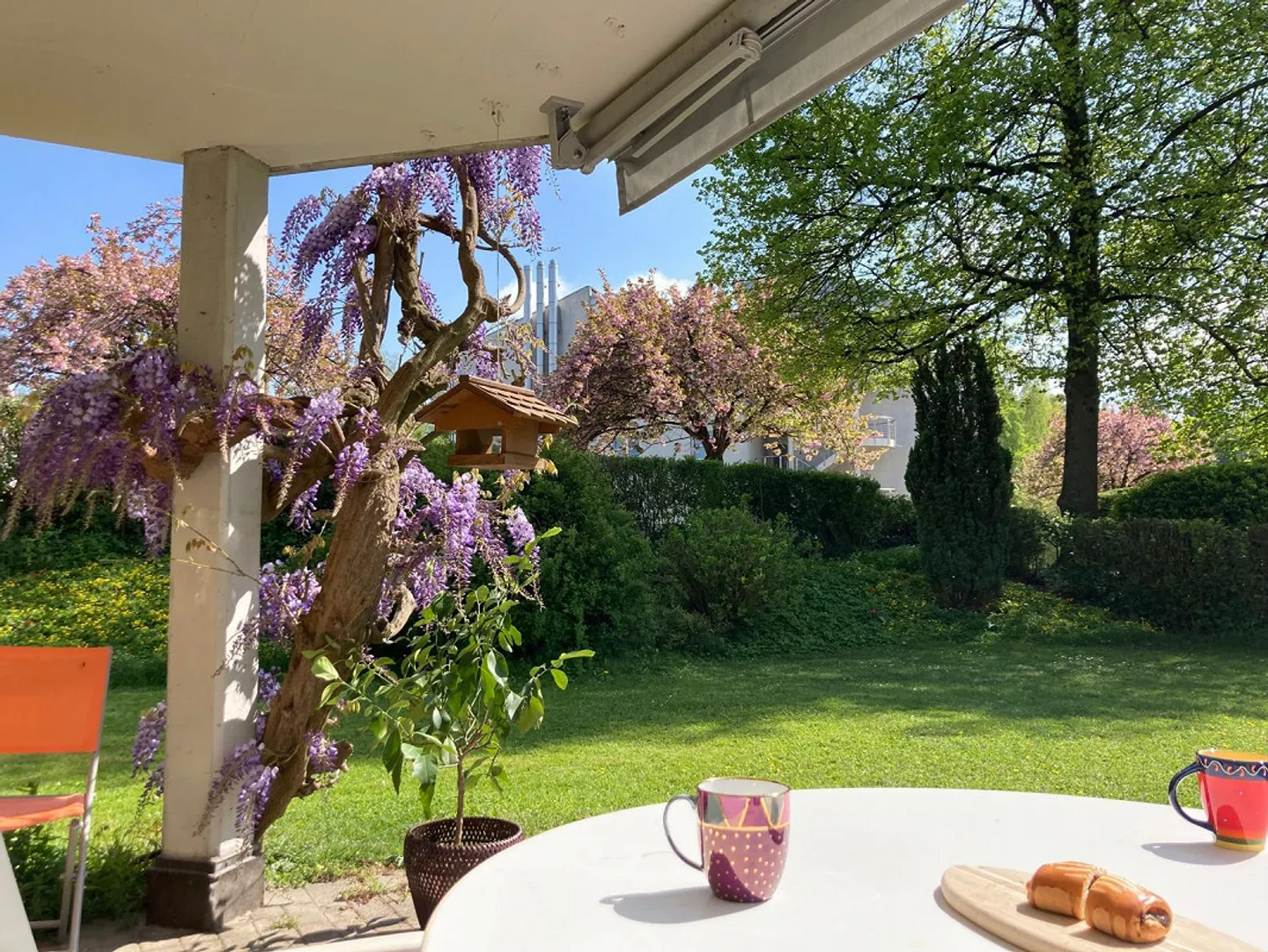 Wonderful large quiet 5.5 room garden apartment for rent! - Photo 4 of 10