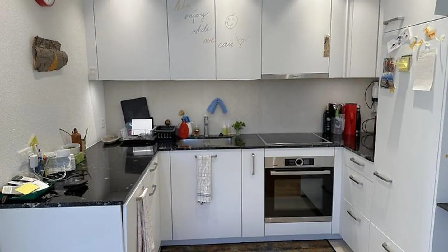 2½ ROOM APARTMENT IN ZURICH - DISTRICT 8 RIESBACH, FURNISHED, TEMPORARY - Photo 3 of 10