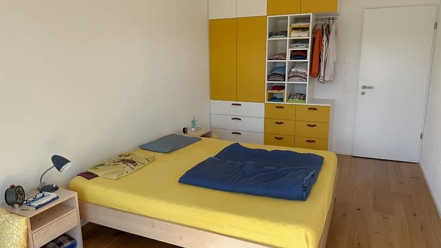 2½ ROOM APARTMENT IN ZURICH - DISTRICT 8 RIESBACH, FURNISHED, TEMPORARY - Photo 5 of 10