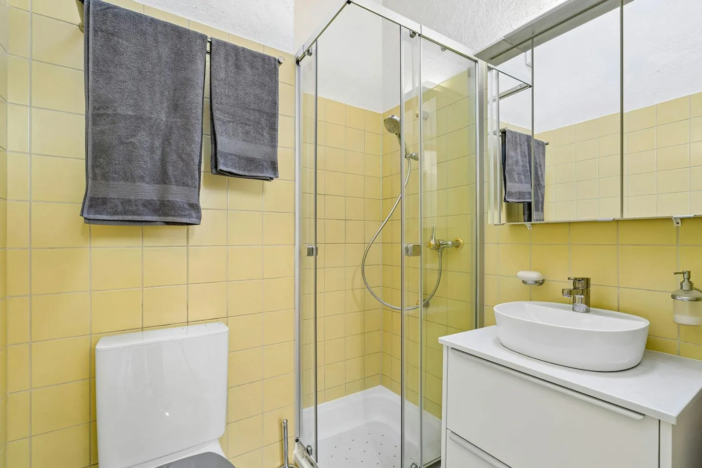 6.5-Row House in Family-Friendly Location - Photo 9 of 13