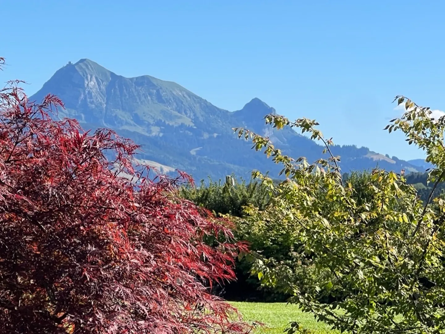 10-Room House - Photo 27 of 28