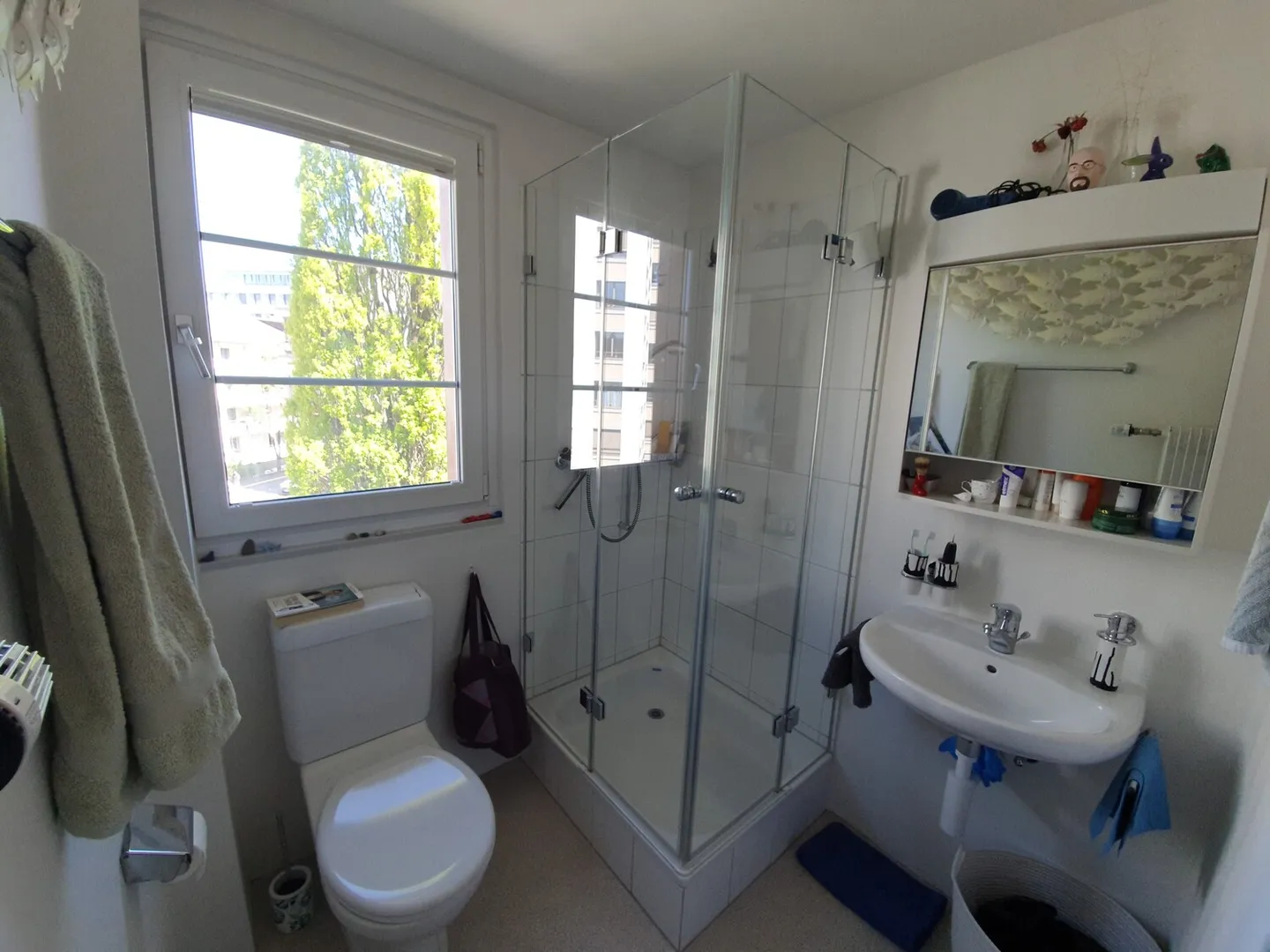 APPARTAMENTO 2½ STANZE A BERN - MATTENHOF, ARREDATO, TEMPORANEO - Foto 9 di 9
