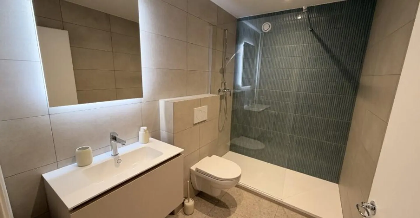 Duplex Charmant à Genève - Photo 8 sur 8