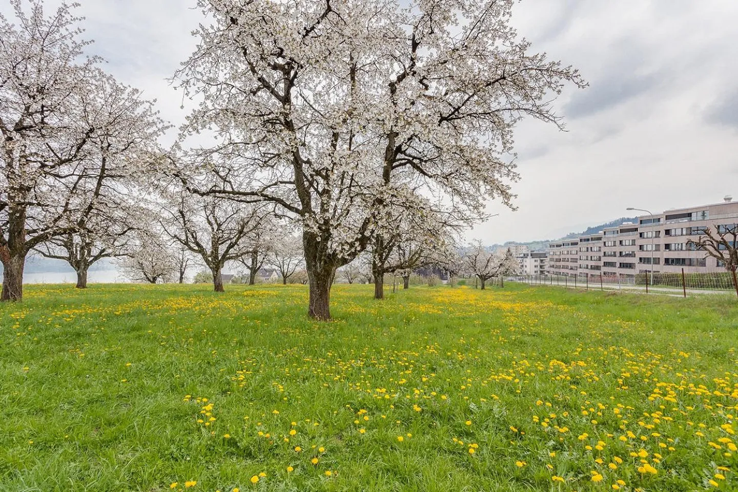 Appartement exclusif pour les plus hautes exigences - avec vue sur le lac et maison intelligente... - Photo 1 sur 8