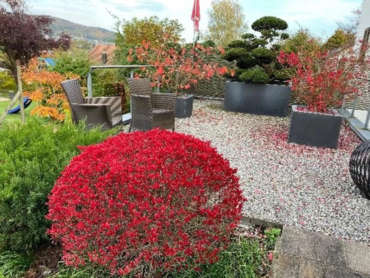 Residential Jewel in a Quiet Oasis & Building Plot as Zen Garden - Photo 16 of 27