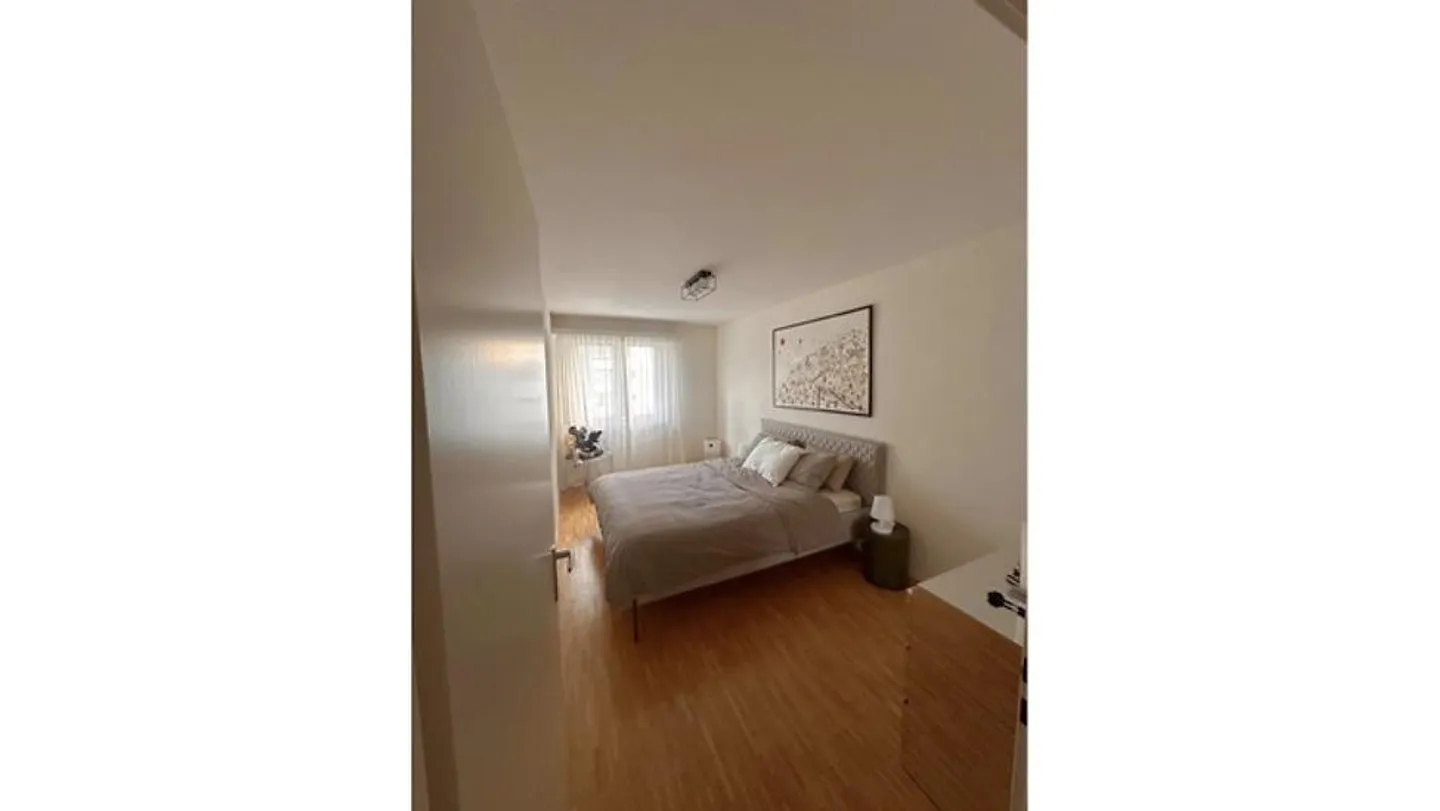 APPARTAMENTO DI 2½ LOCALI A LAUSANNE - SOUS-GARE/OUCHY, ARREDATO - Foto 4 di 7