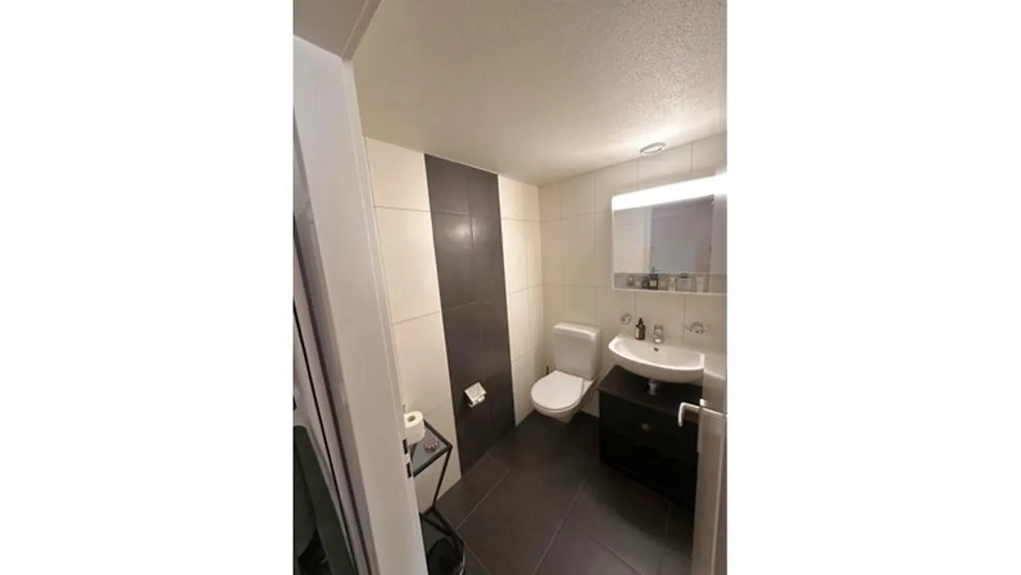 APPARTAMENTO DI 2½ LOCALI A LAUSANNE - SOUS-GARE/OUCHY, ARREDATO - Foto 5 di 7