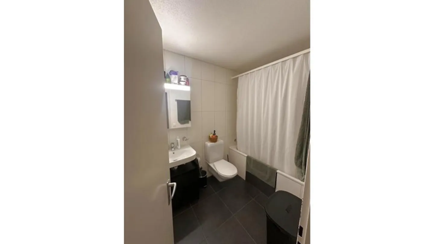 APPARTAMENTO DI 2½ LOCALI A LAUSANNE - SOUS-GARE/OUCHY, ARREDATO - Foto 6 di 7