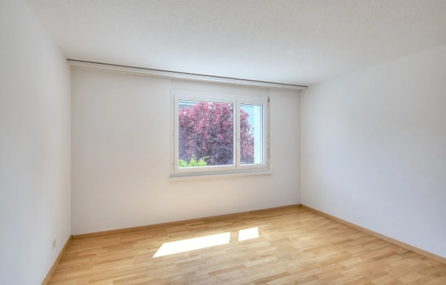 Dream apartment for rent! - Photo 5 of 5