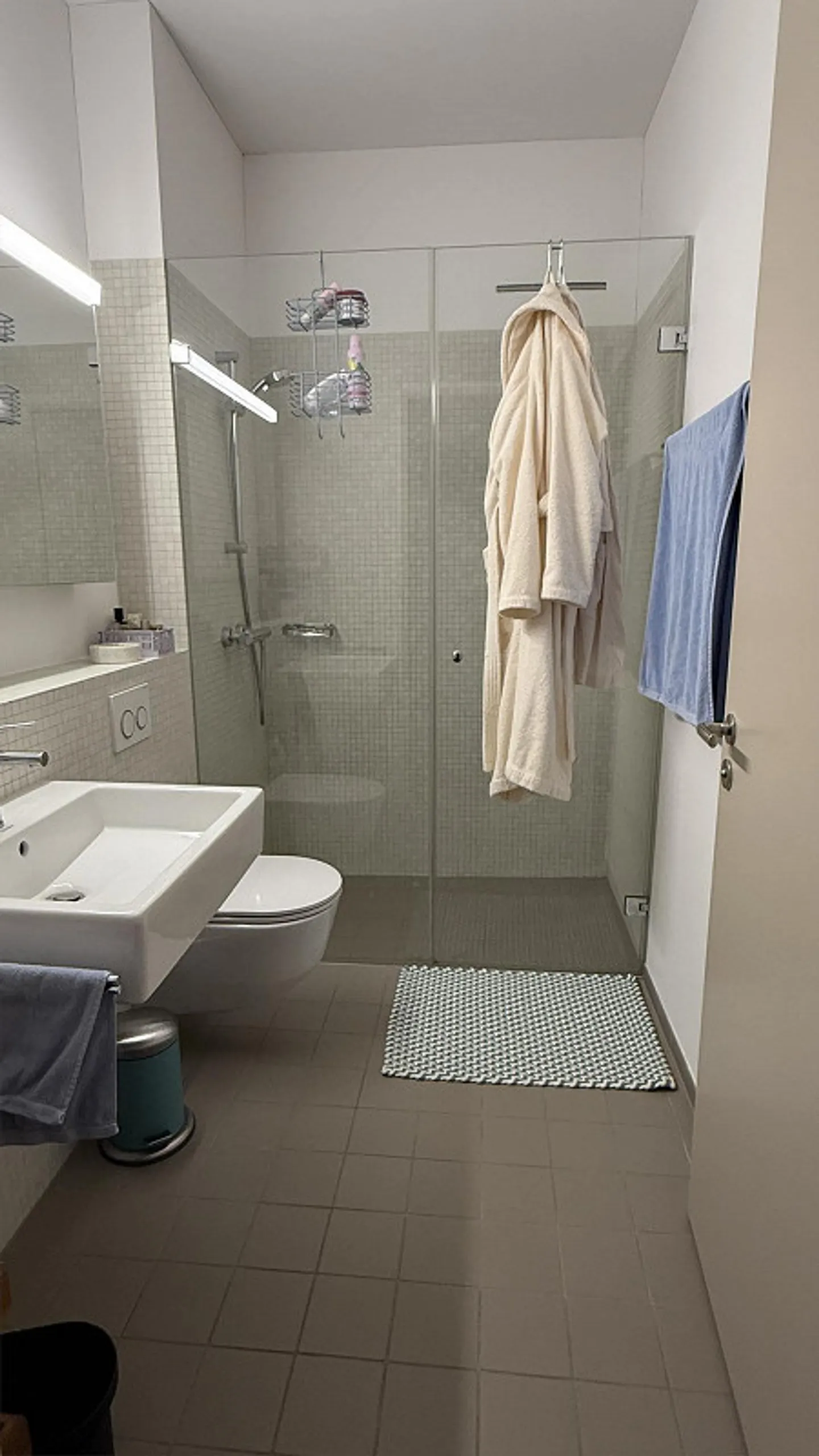 3.5 Room Apartment - Photo 7 of 9