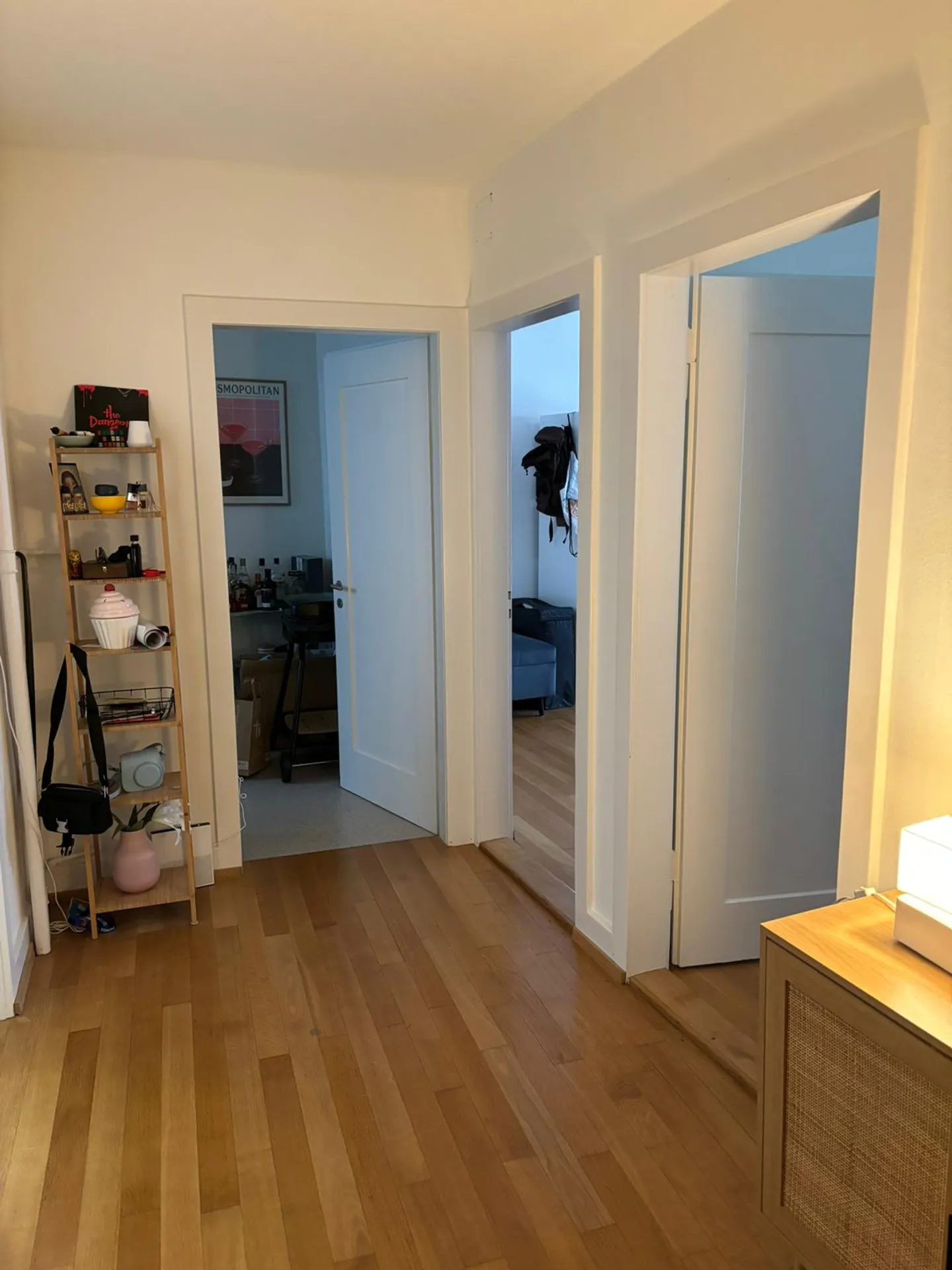 Moderne Stadtwohnung mitten in der Altstadt von Schaffhausen - Foto 4 von 8