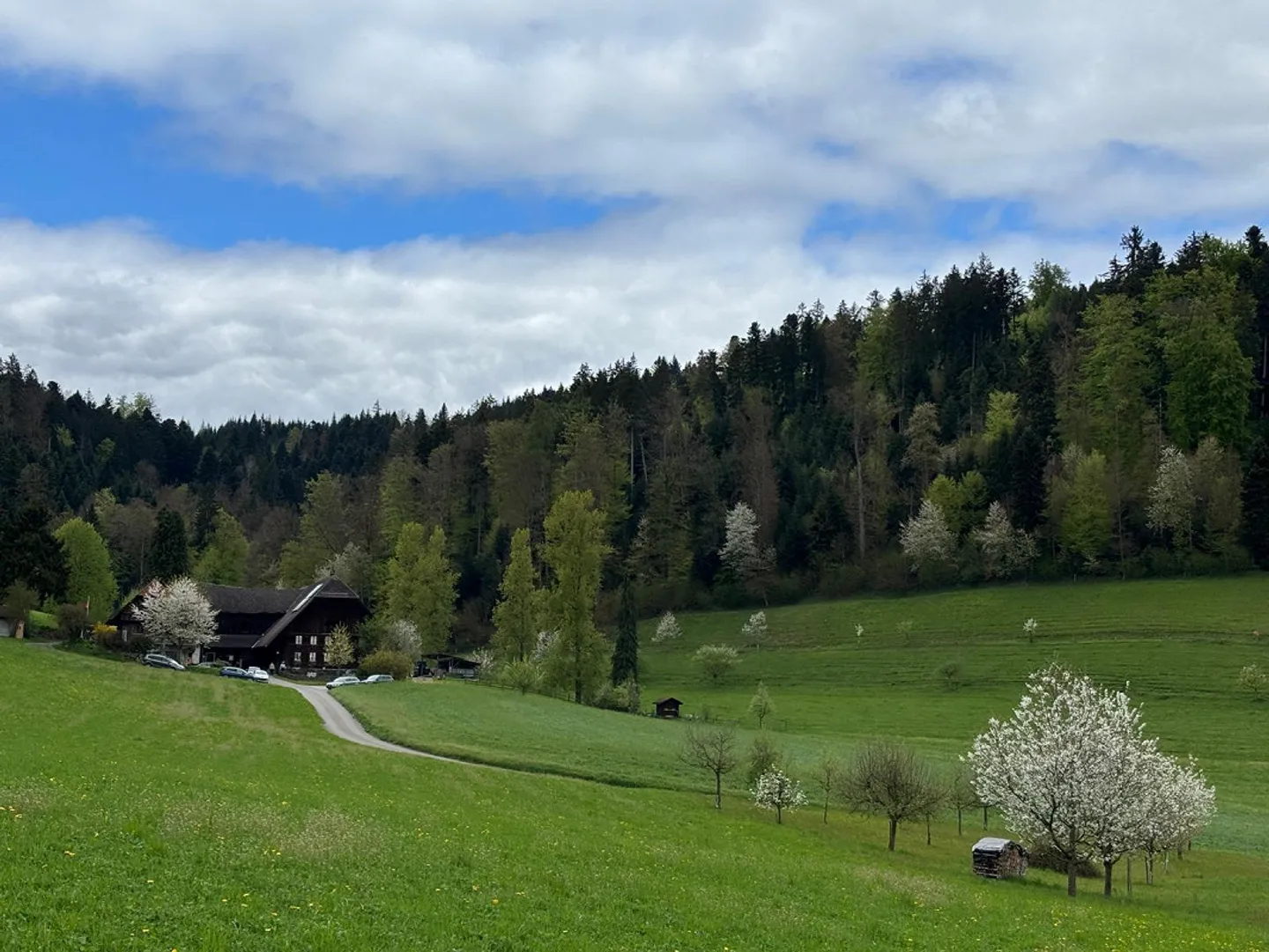 Casa unifamiliare 5.5 camere (Stöckli) accogliente e recentemente ristrutturata nel verde - Foto 2 di 12