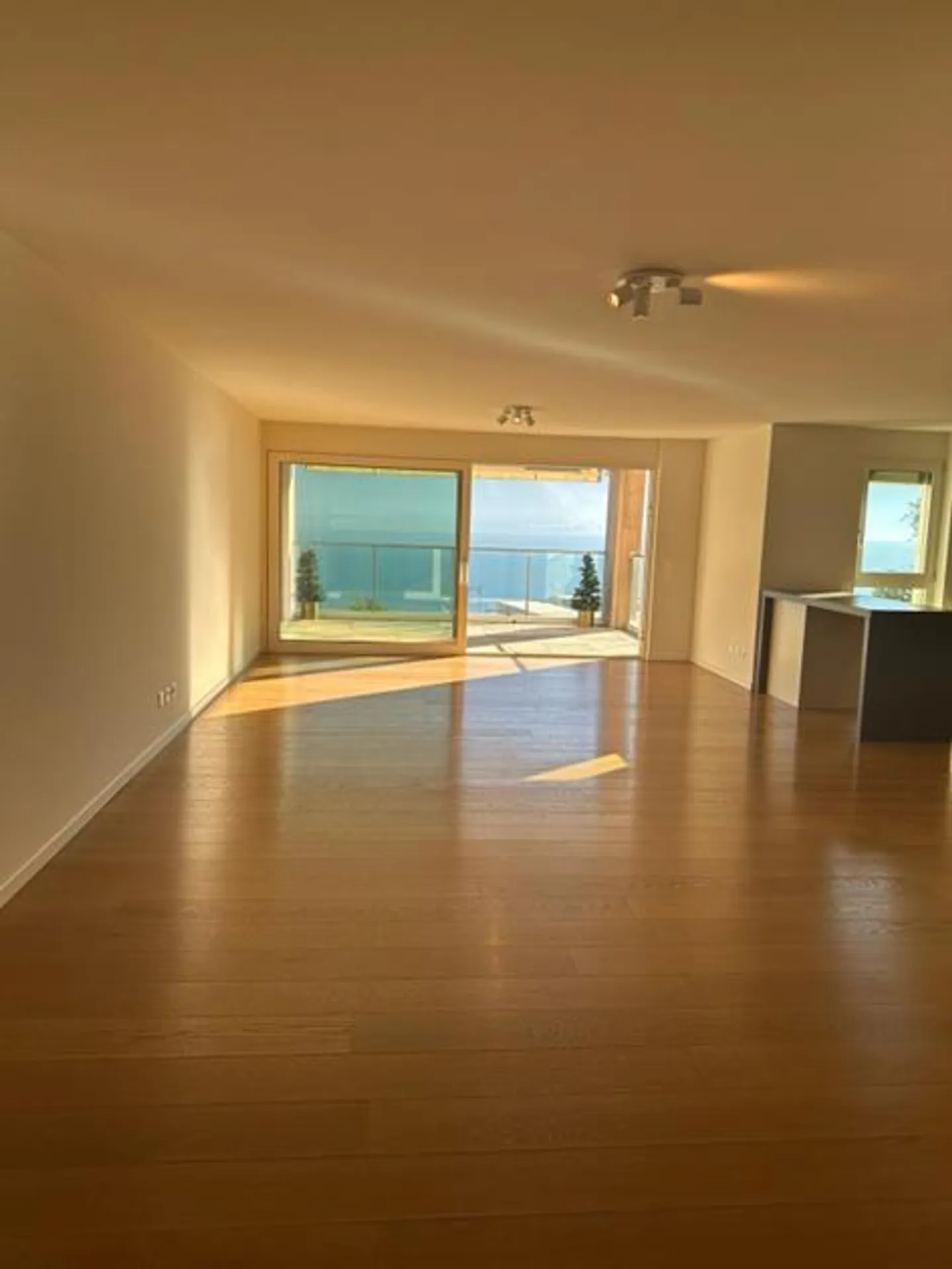 5.5 rooms facing the lake - Melide - Photo 1 of 18