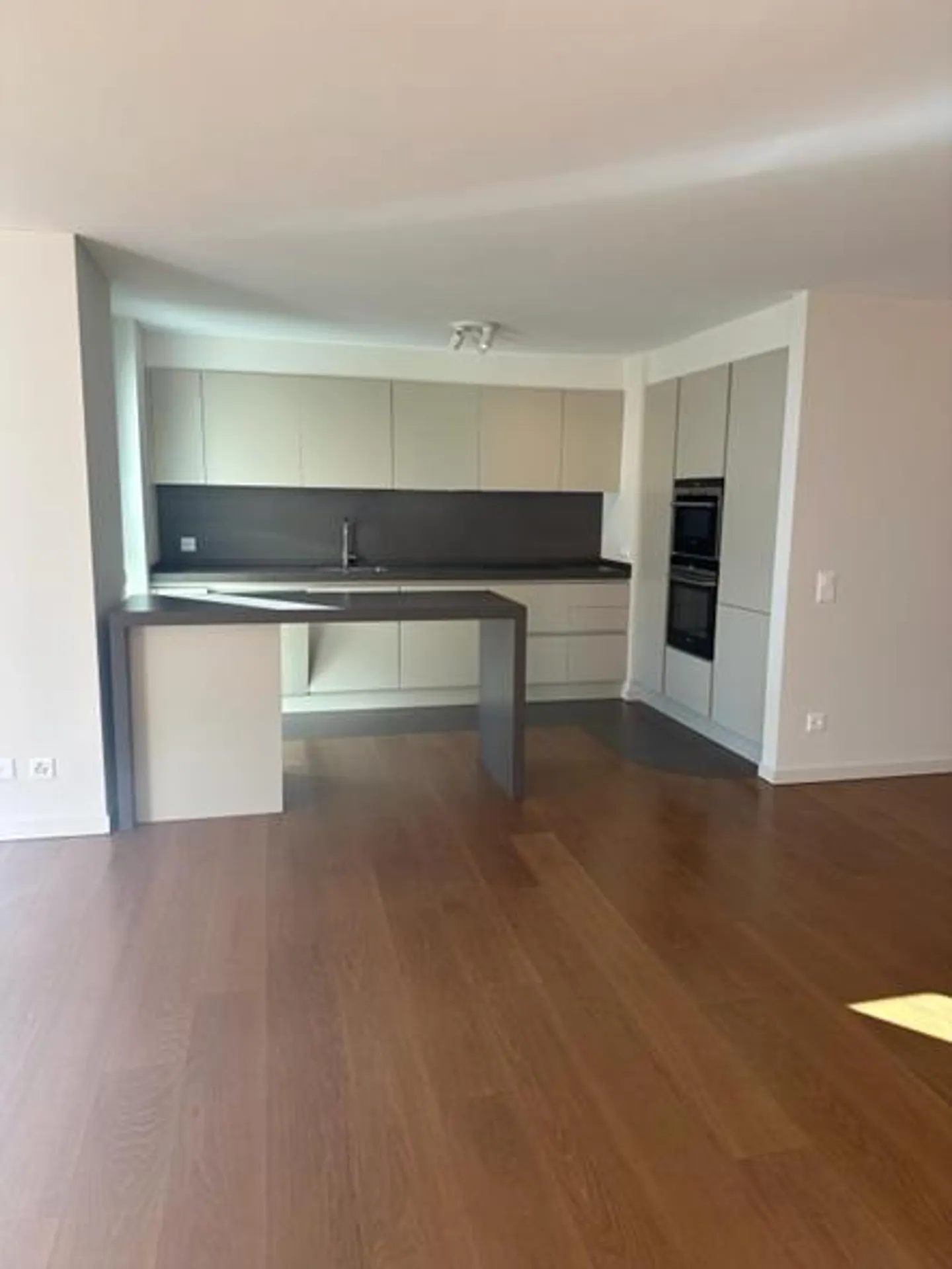 5.5 rooms facing the lake - Melide - Photo 2 of 18