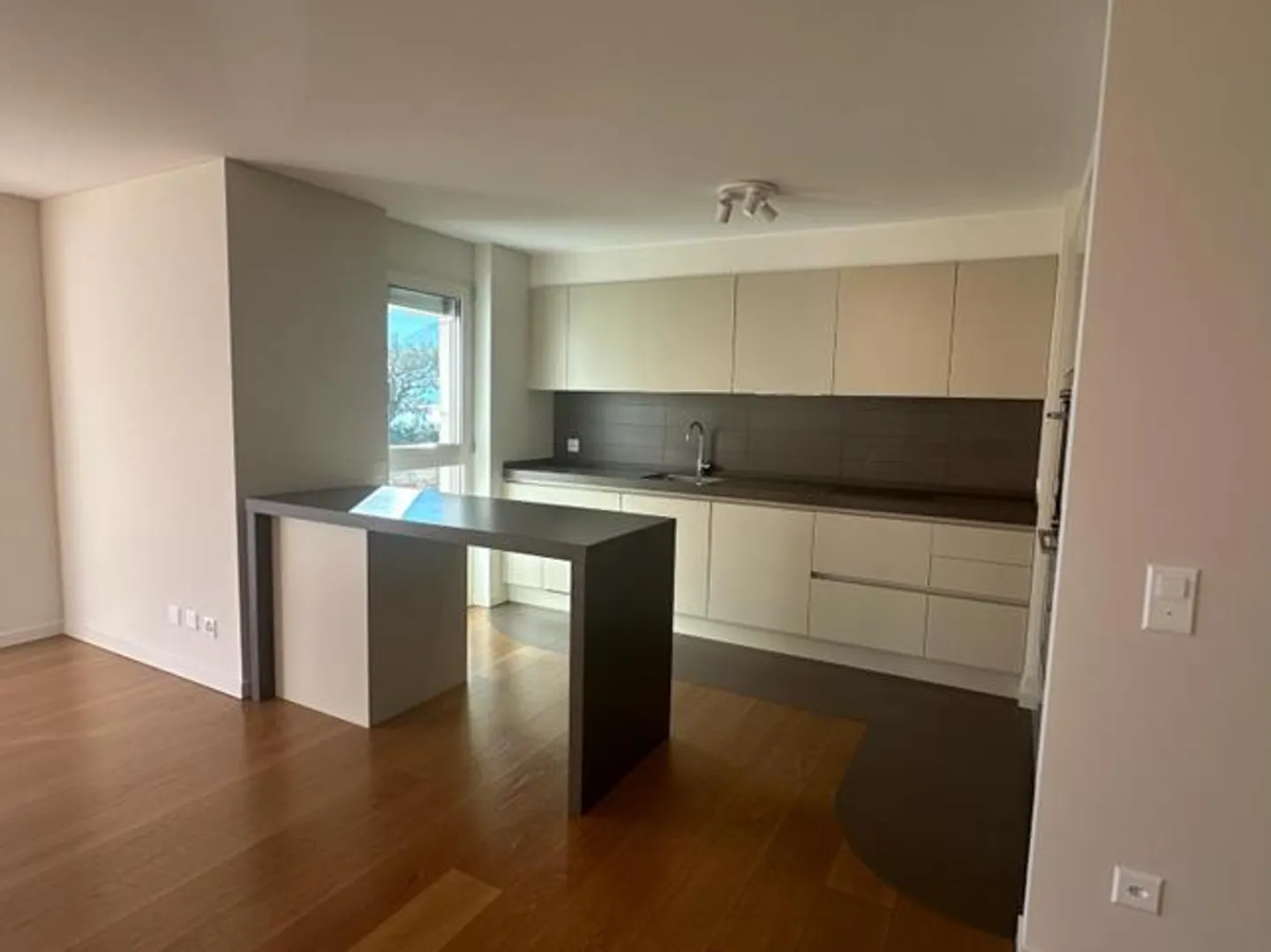 5.5 rooms facing the lake - Melide - Photo 3 of 18