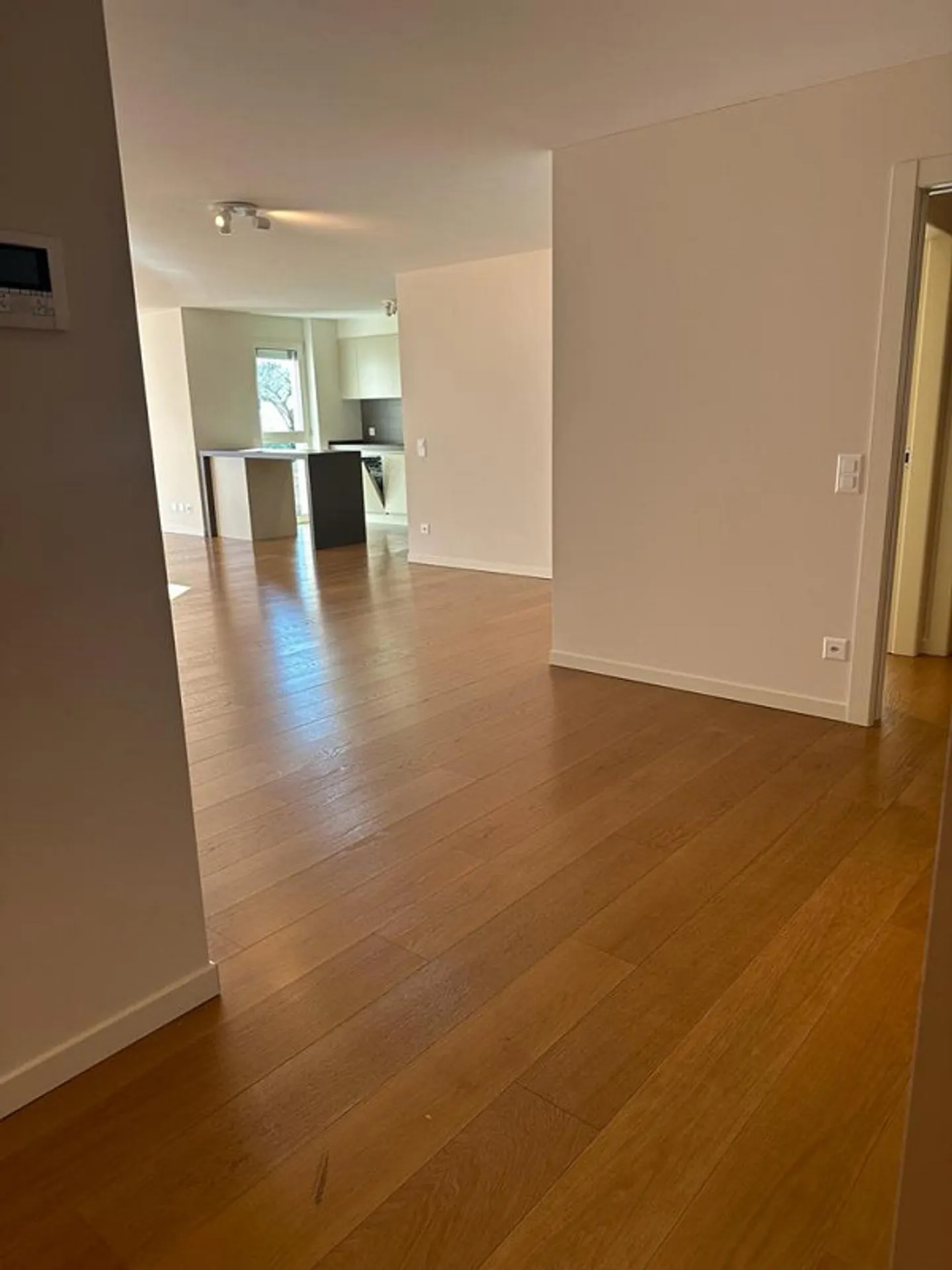 5.5 rooms facing the lake - Melide - Photo 4 of 18