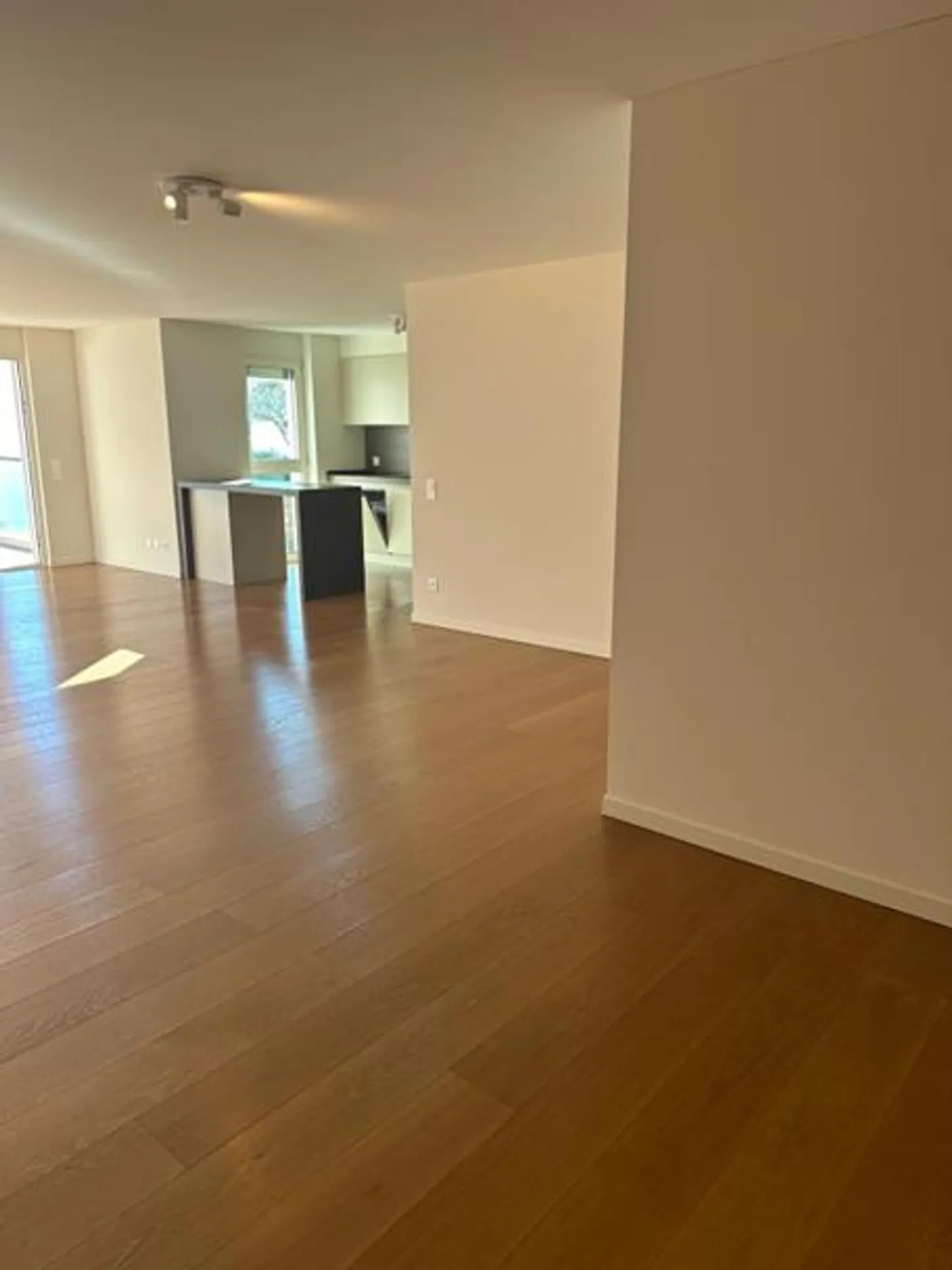 5.5 rooms facing the lake - Melide - Photo 5 of 18