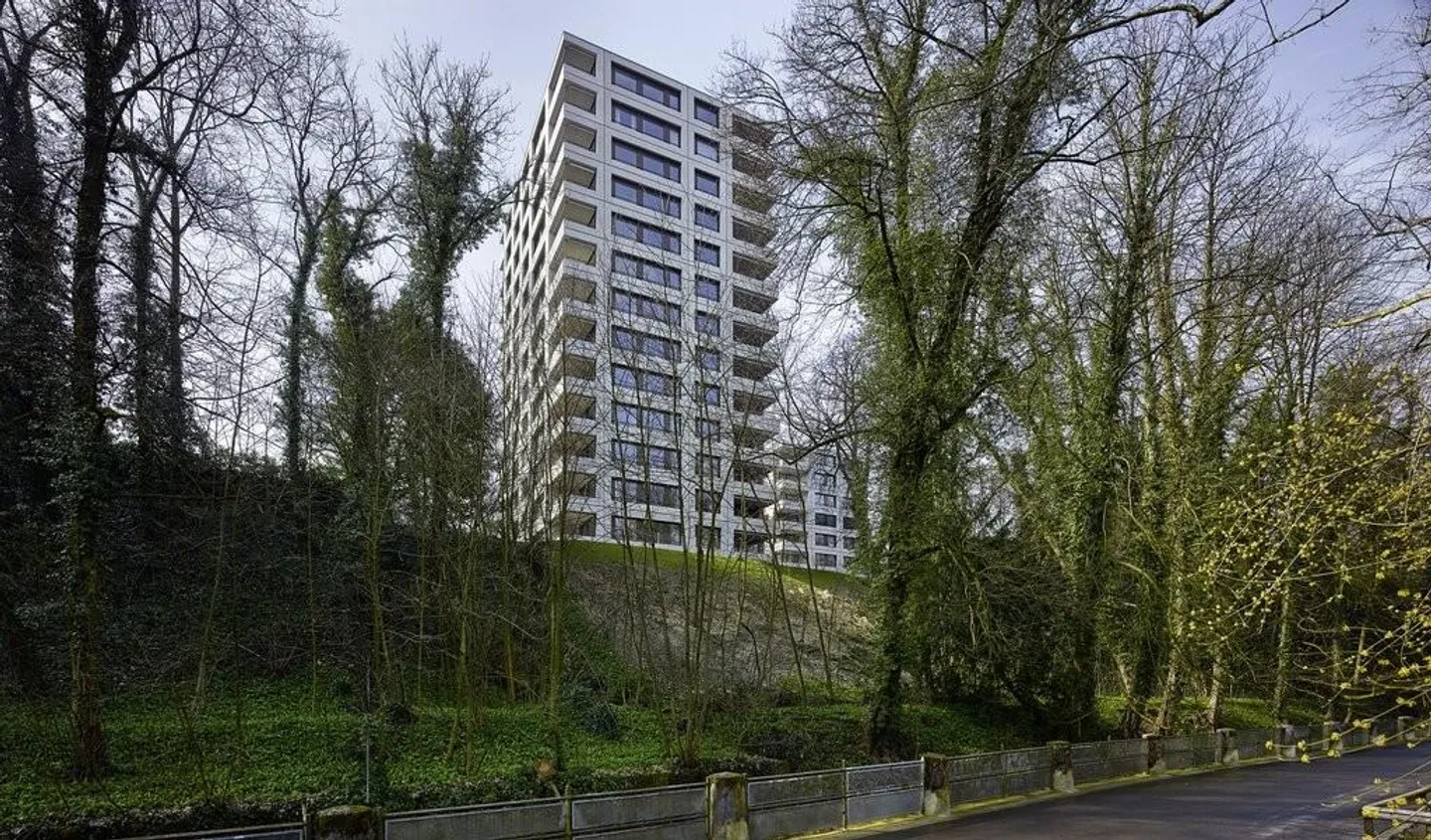 Stai cercando un attico con vista sulla città di Basilea? - Foto 2 di 12