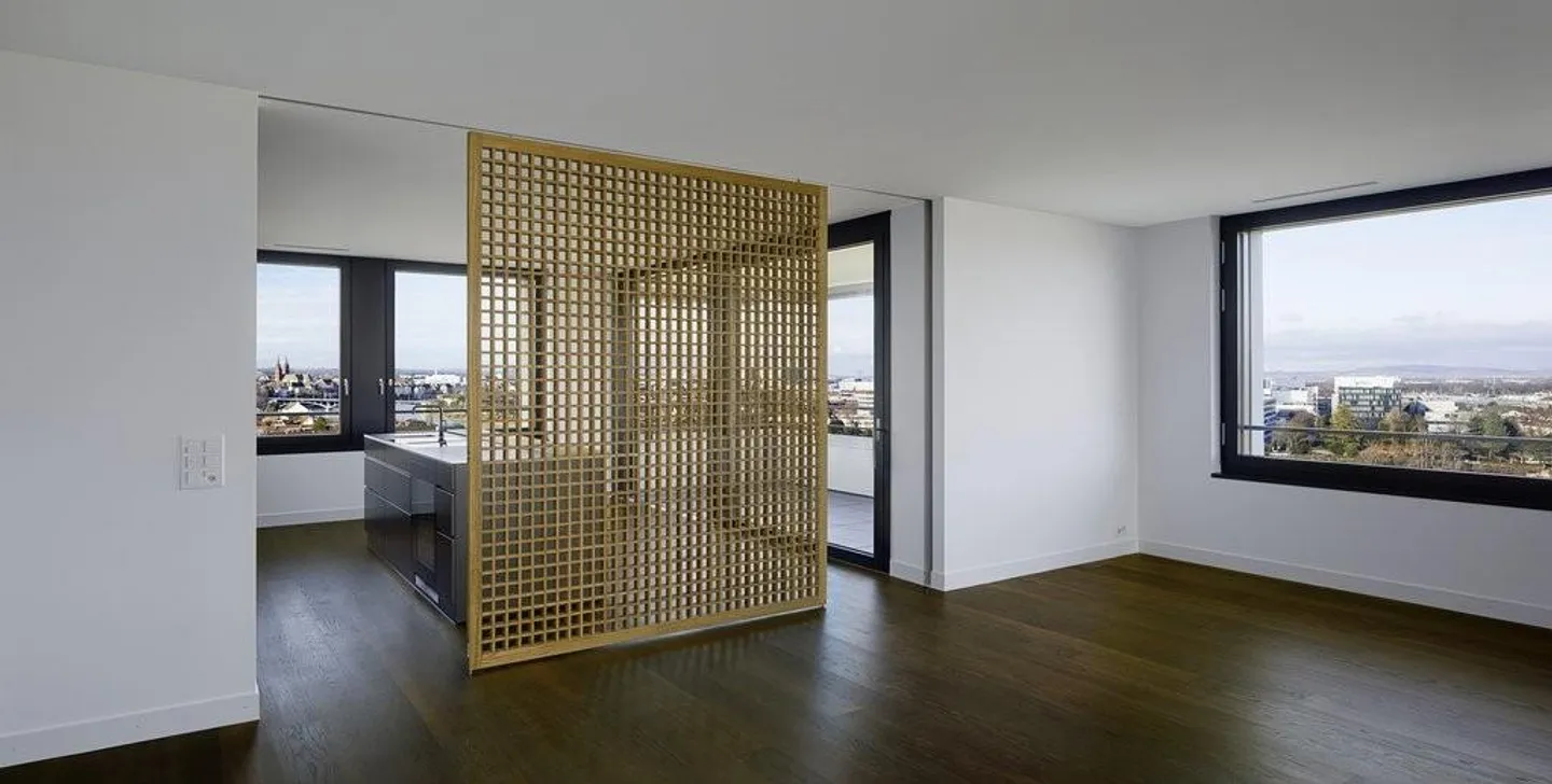 Stai cercando un attico con vista sulla città di Basilea? - Foto 3 di 12