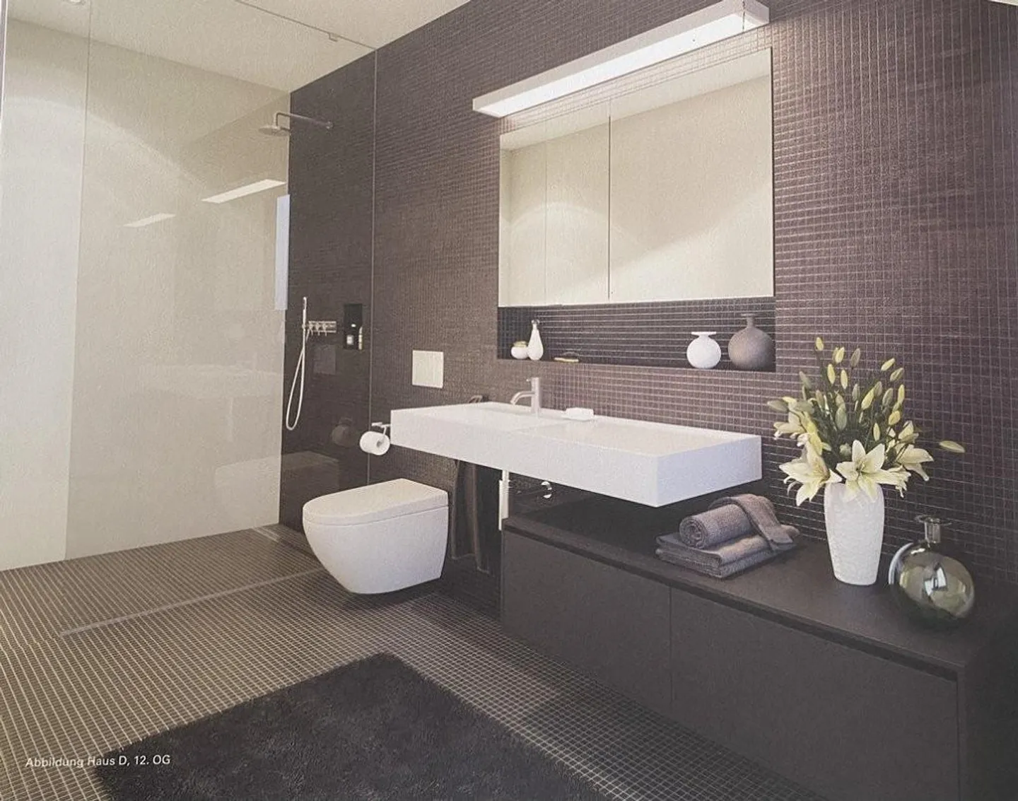 Stai cercando un attico con vista sulla città di Basilea? - Foto 6 di 12