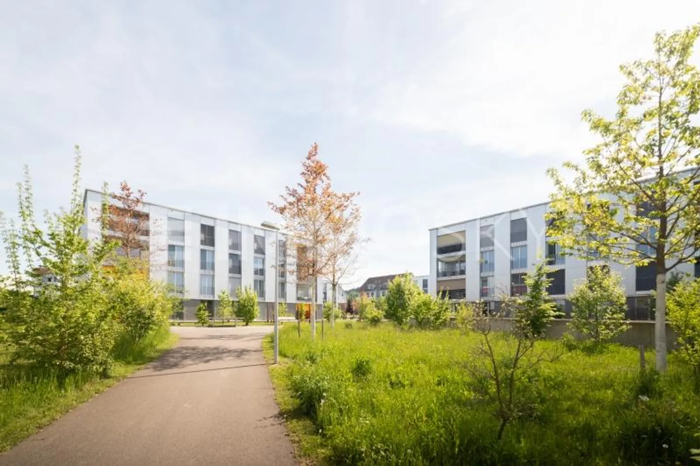 Le tue quattro mura personali - Vivere con comfort, stile e tanto spazio - Foto 5 di 7