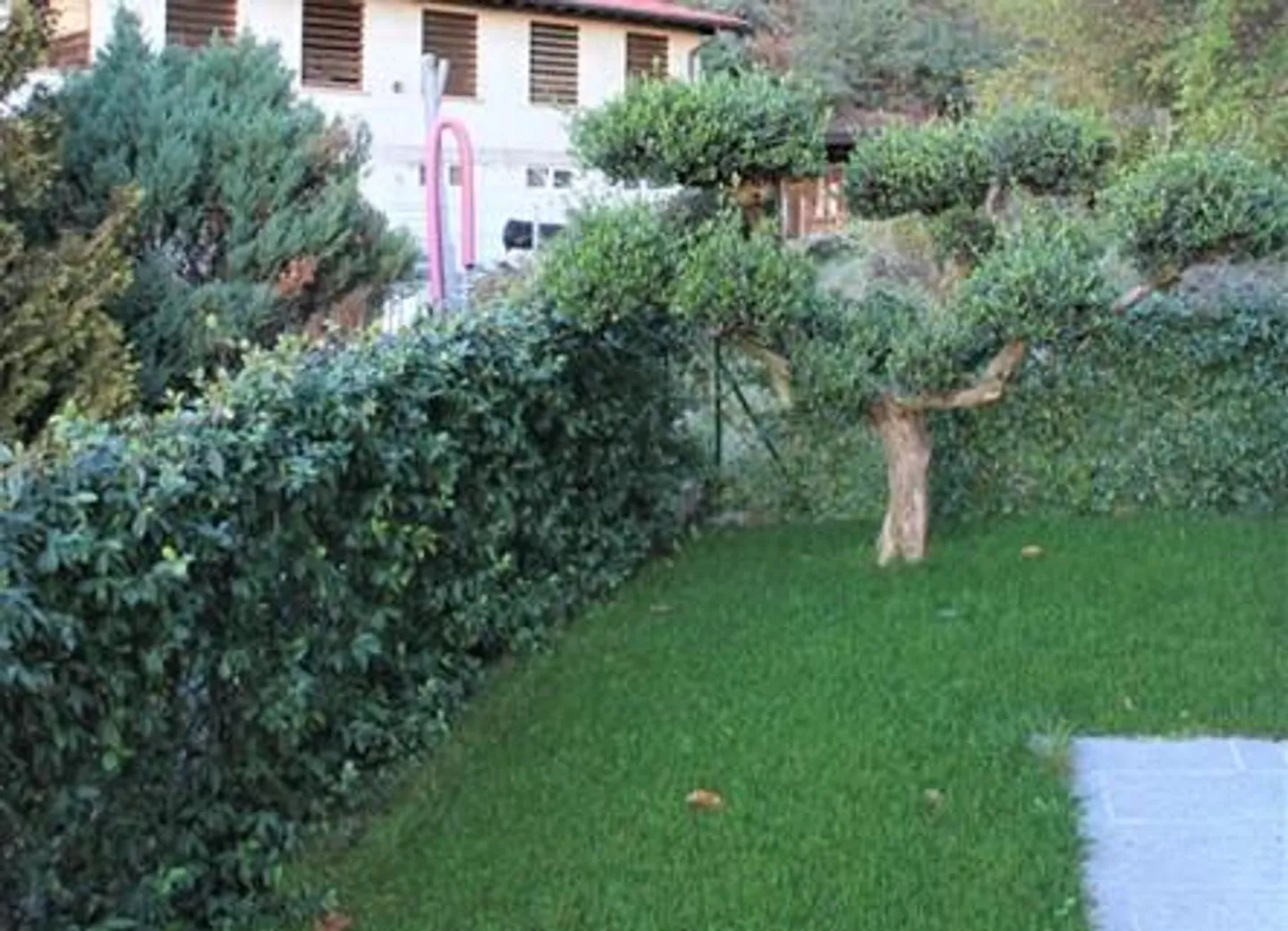 Single-family Villa - Castel San Pietro - Photo 16 of 17