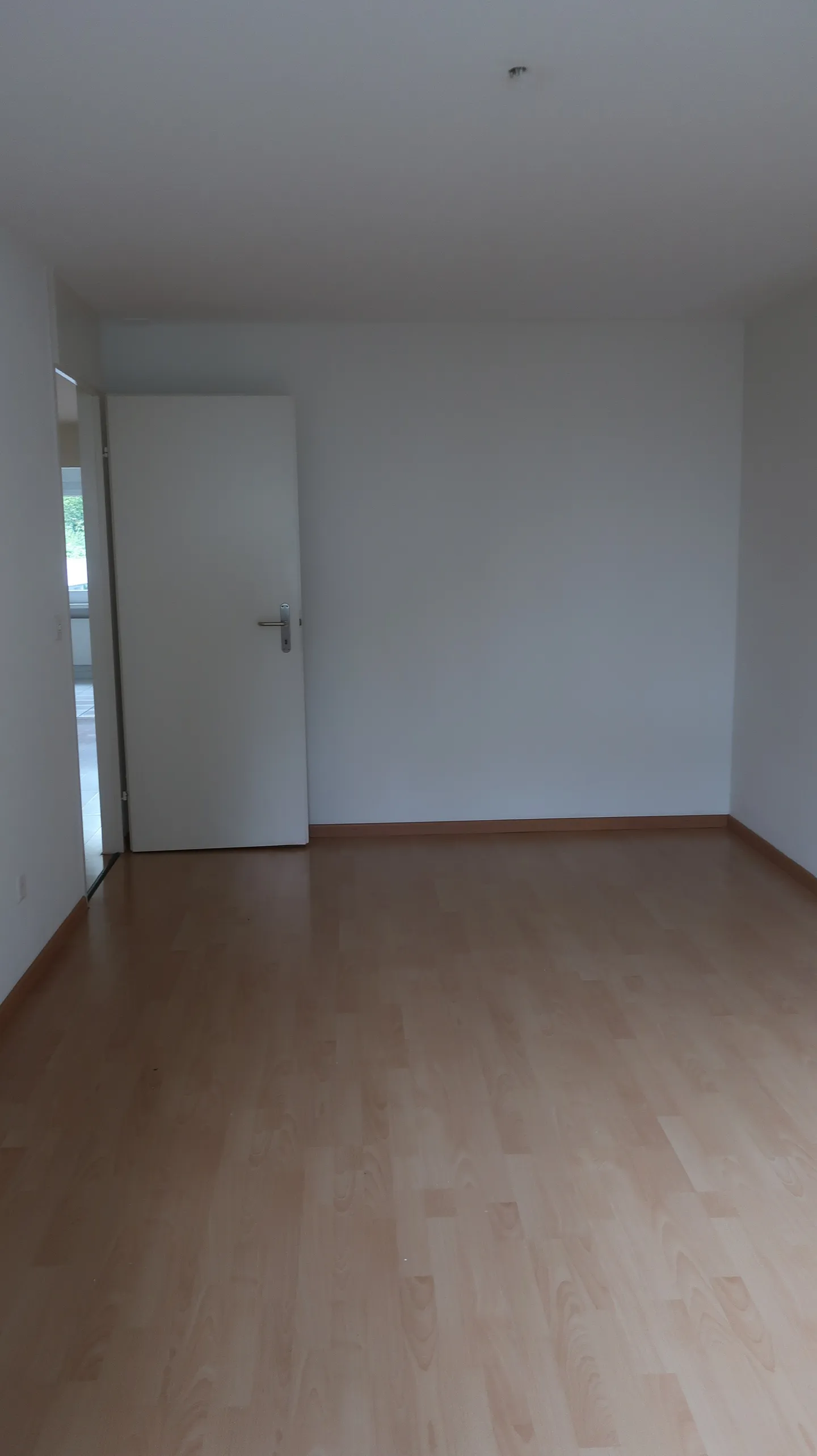 Cozy 3-room apartment with balcony in Matzingen - Photo 5 of 14