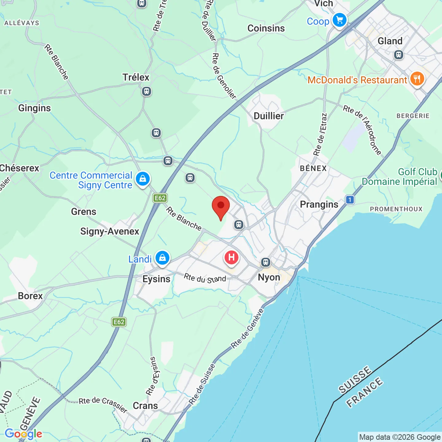 Nuove superfici per attività a Nyon - ultime opportunità - Foto 9 di 9