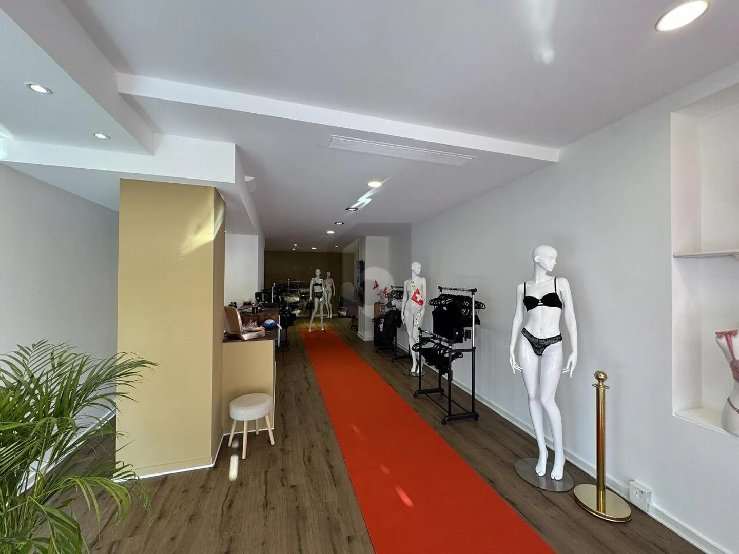 Espace Commercial avec Vue Lac - Photo 3 sur 5