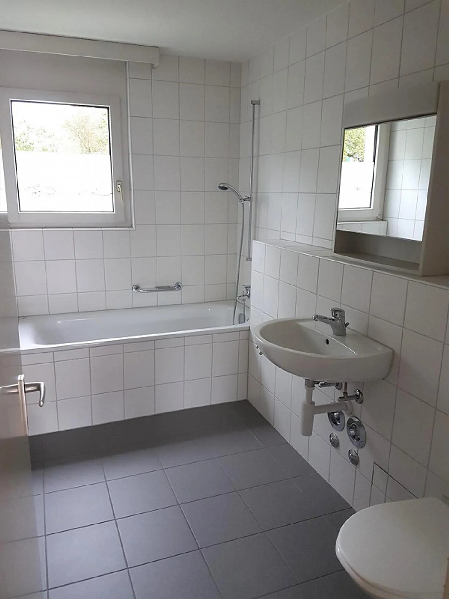 Charming apartment in green Aarau - Photo 6 of 7