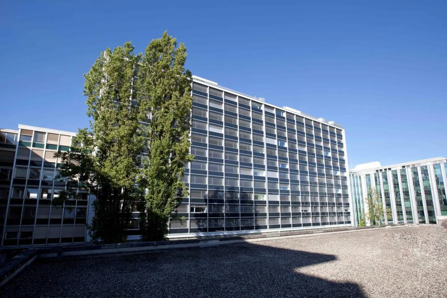Helle und ausgestattete Flächen Acacias Viertel - Foto 10 von 11