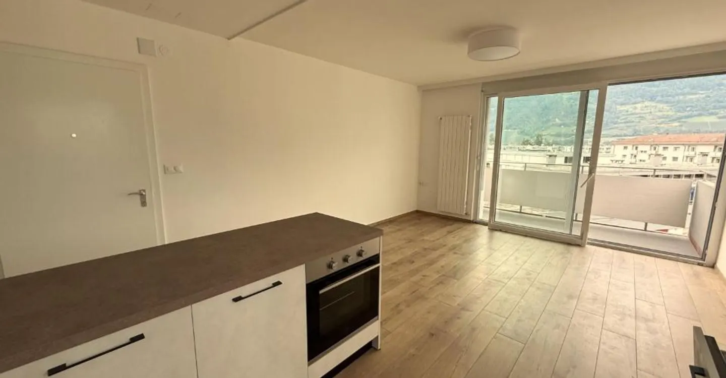 Renovated 3.5 Room Apartment - Photo 2 of 3