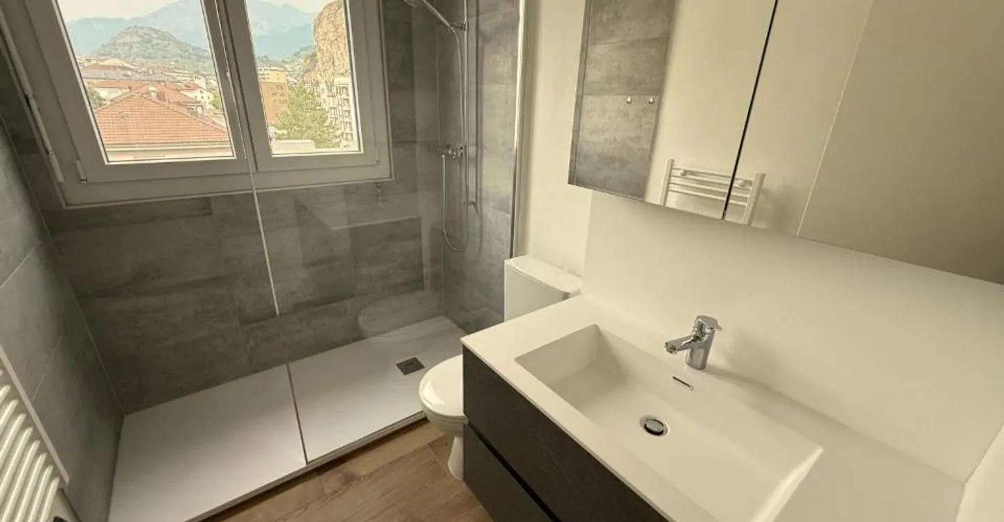 Renovated 3.5 Room Apartment - Photo 3 of 3