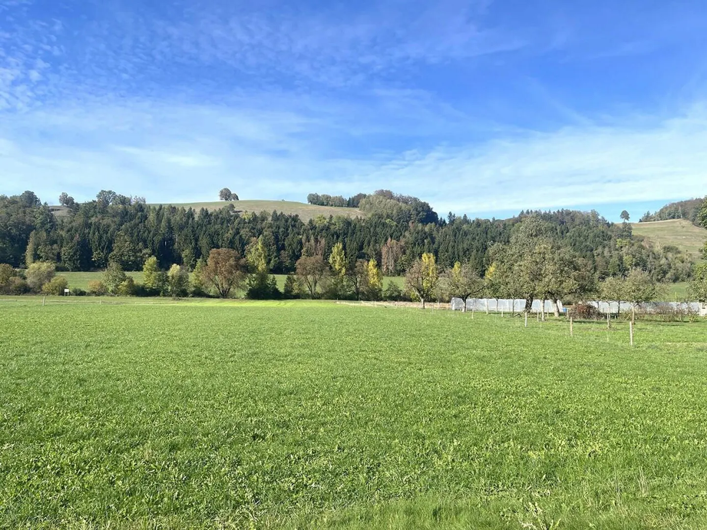 Propriété avec potentiel – Espace pour vos idées - Photo 12 sur 13