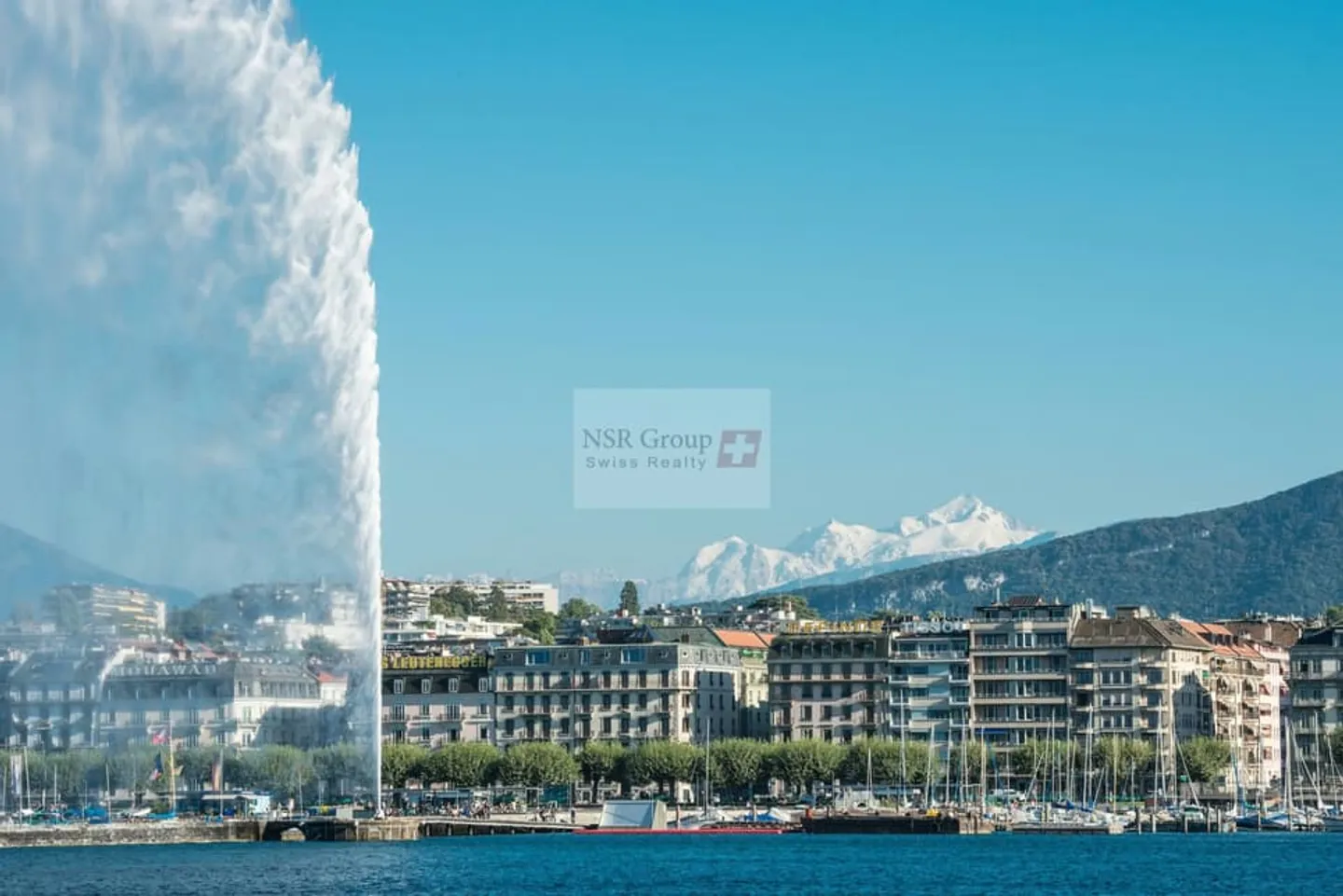 Appartamento luminoso nel cuore di Petit-Sacconex - Foto 1 di 1