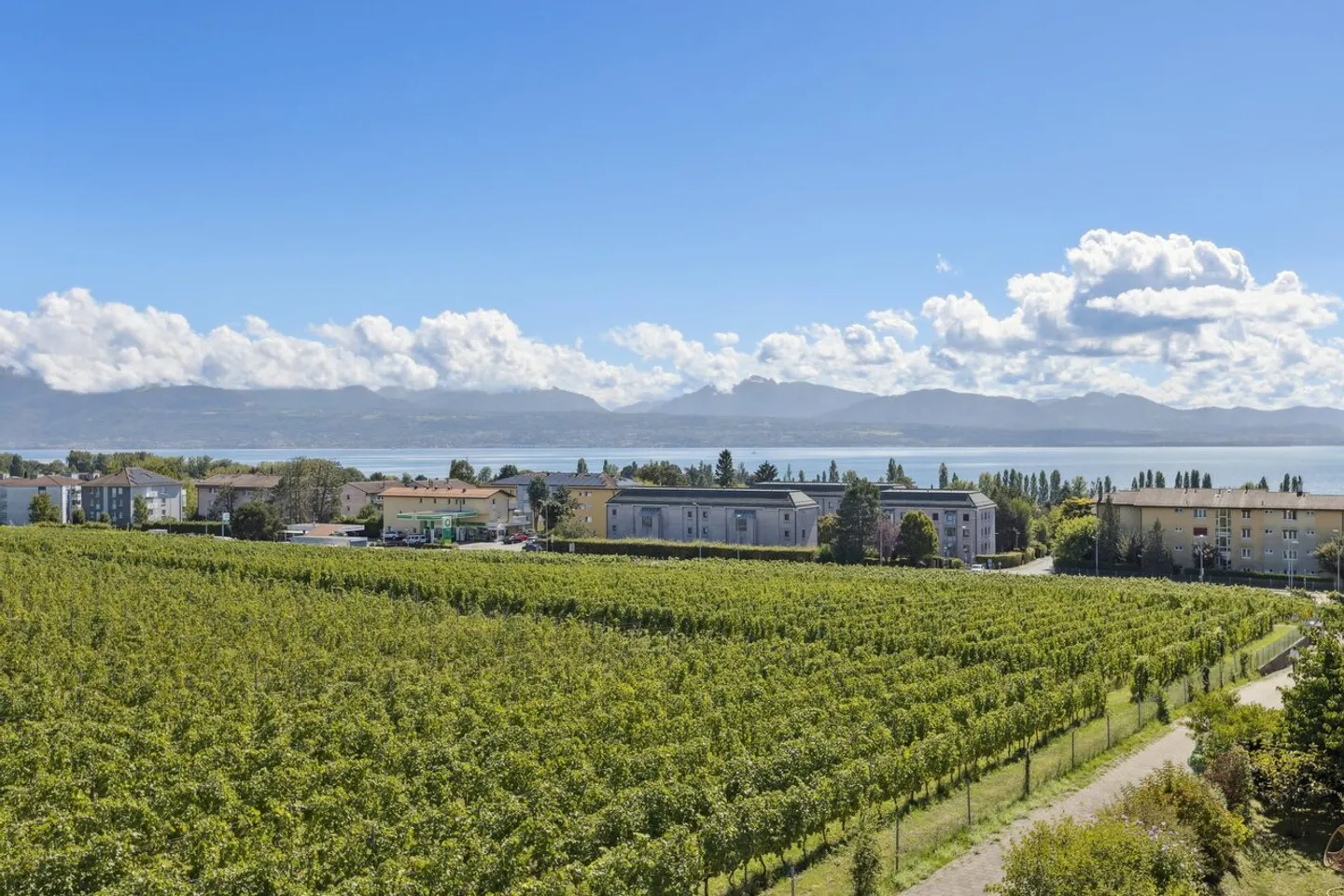 Eine seltene Wohnung im obersten Stockwerk, mit Blick auf den Genfersee und die Alpen - Foto 1 von 10