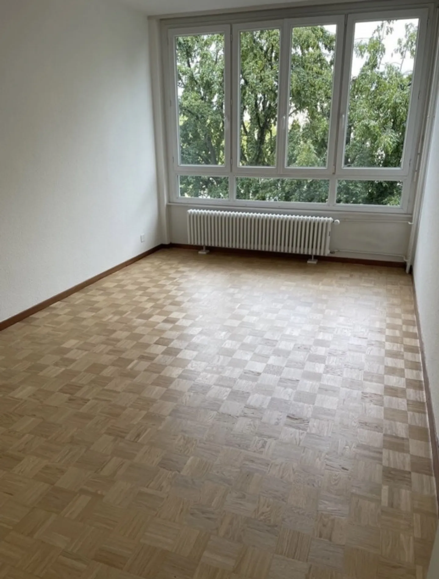 Lease Takeover - Superb 3-Room Apartment in Châtelaine - Photo 4 of 10