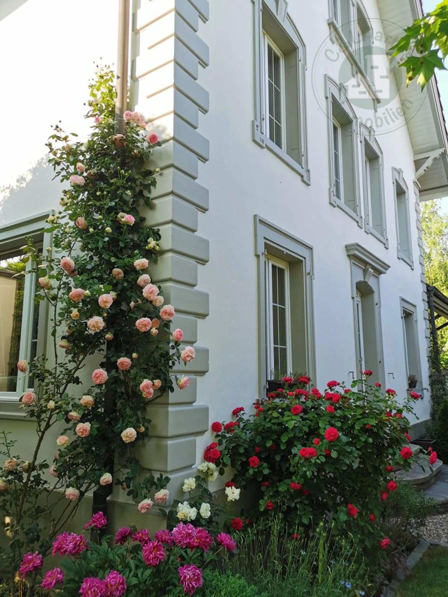 Manoir fantastique avec appartements et espace commercial - Photo 12 sur 13