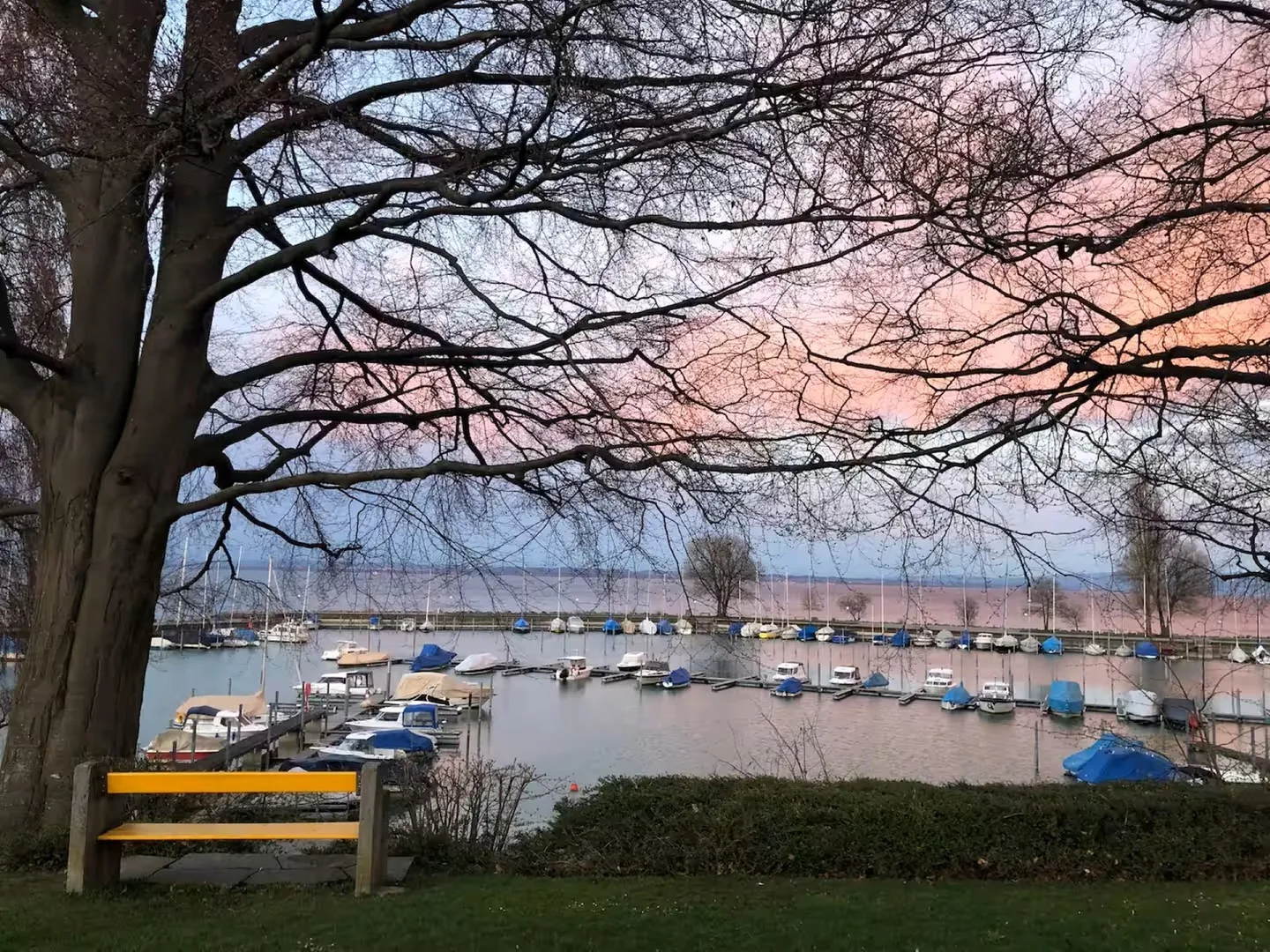 Modernes 2½-Zimmer-Reihenmittelhaus im Minergiestandard mit Solarfassade - Foto 15 von 17