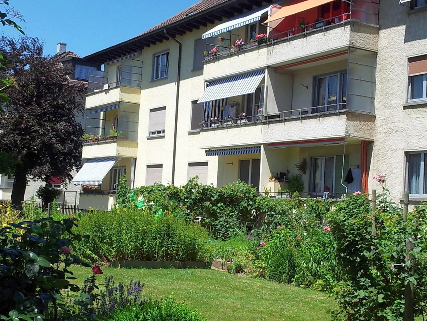 Sonnige 2,5-Zimmer-Wohnung in Bern - Foto 9 von 10