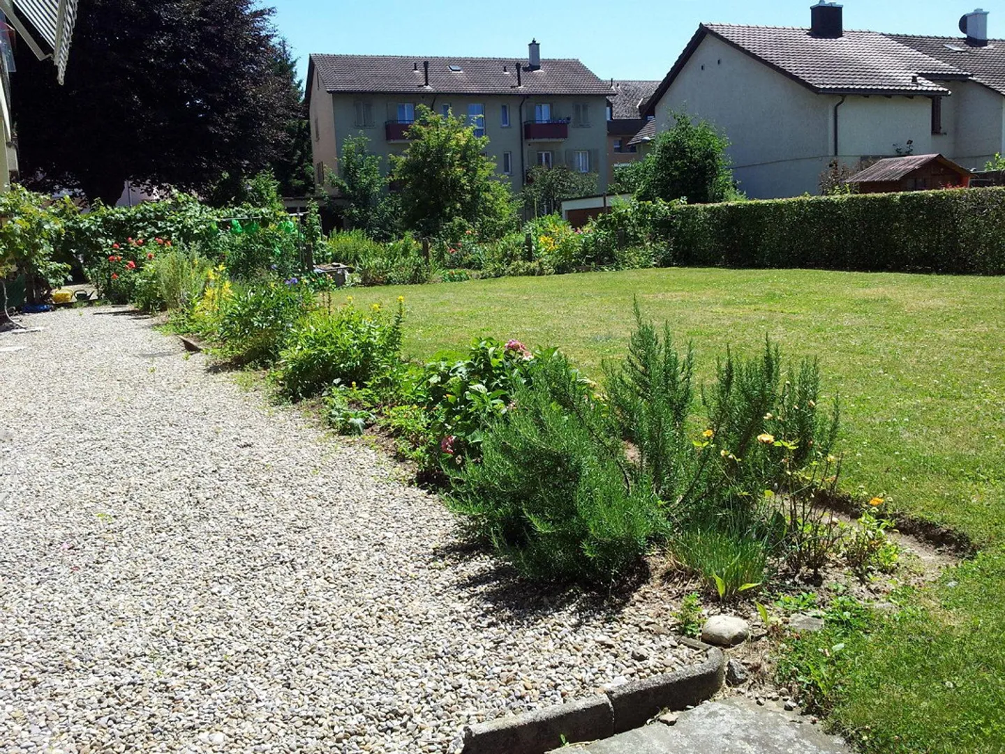 Sonnige 2,5-Zimmer-Wohnung in Bern - Foto 8 von 10