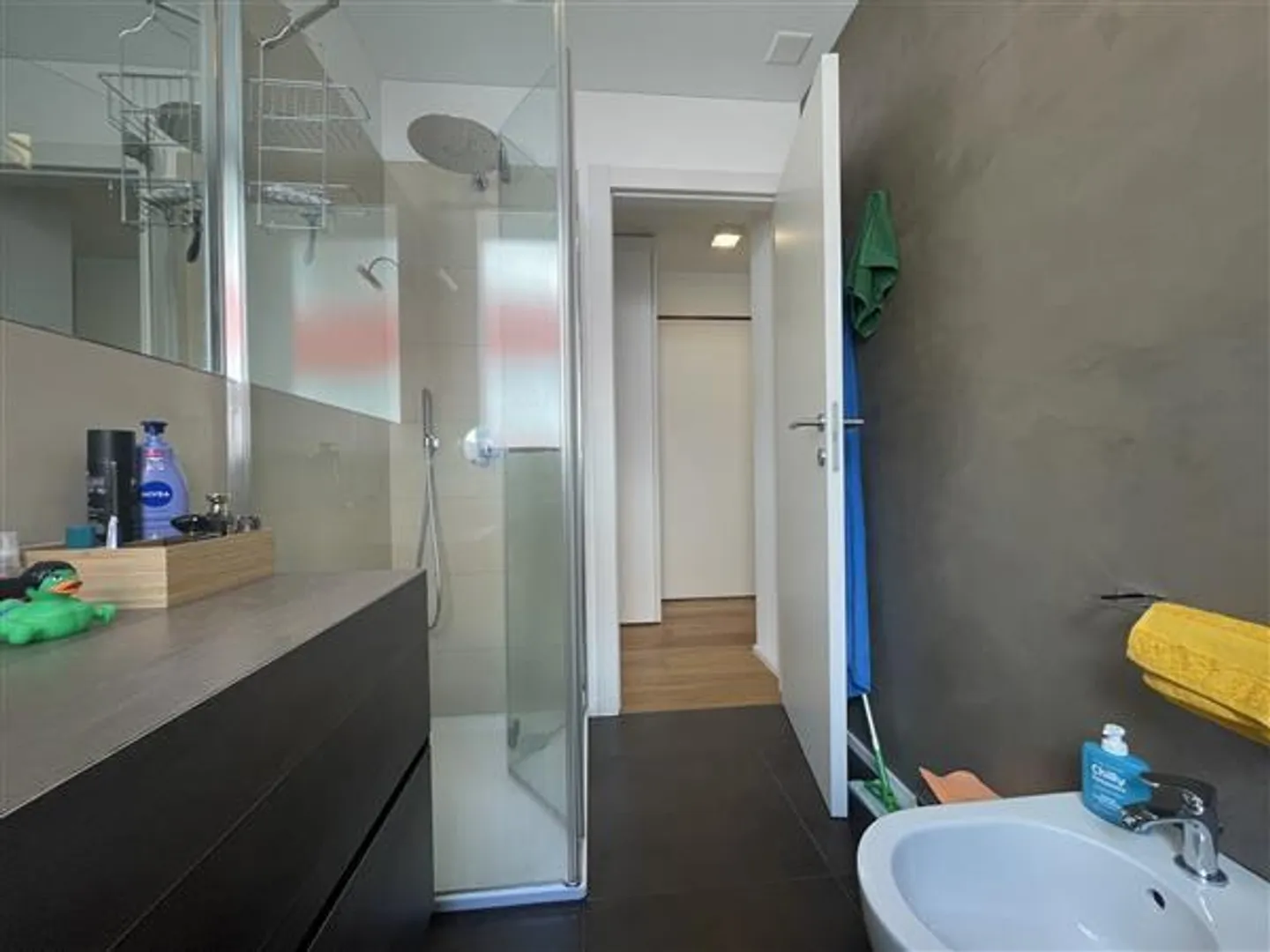 Lugano: Furnished 2.5-room apartment - Photo 10 of 13